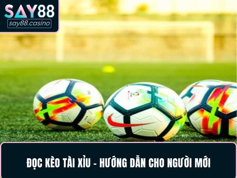 Cách Đọc Kèo Bóng Đá - Hướng Dẫn Chuẩn Nhất Từ Chuyên Gia 4 Đọc kèo tài xỉu - Hướng dẫn cho người mới