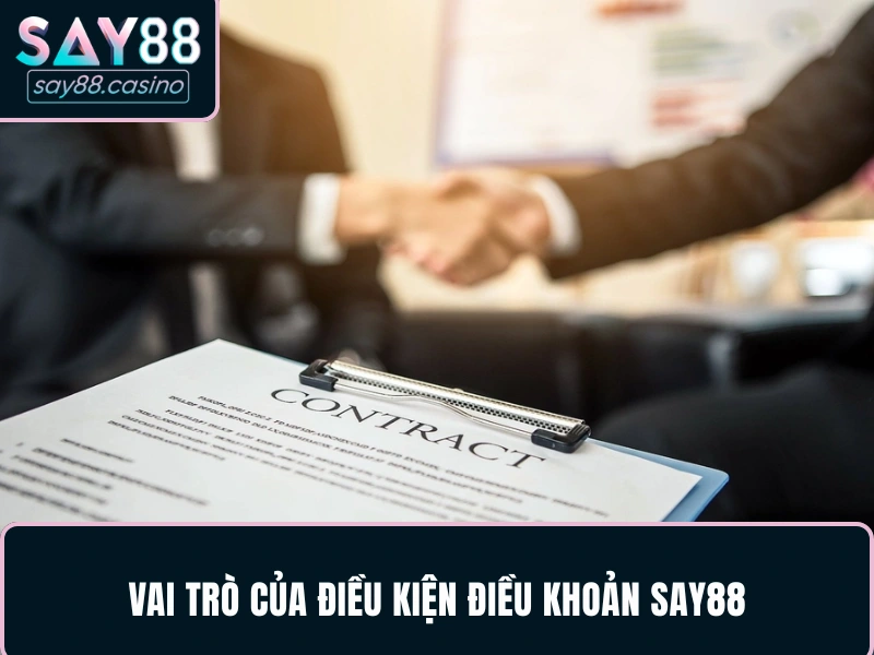 Vai trò của điều kiện điều khoản SAY88