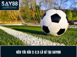 Kèo Tài xỉu 2-2.5 là gì