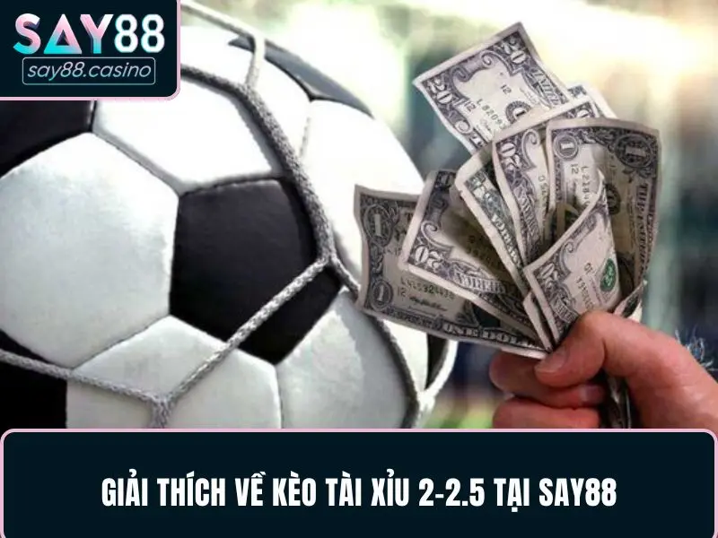 Giải thích chi tiết kèo Tài xỉu 2-2.5 là gì cho người chơi tại SAY88