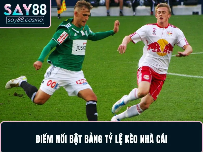 Tỷ Lệ Kèo Nhà Cái: Bí Quyết Chơi Tới Đâu Tăng Số Dư Tới Đó 2 Điểm nổi bật bảng tỷ lệ kèo nhà cái