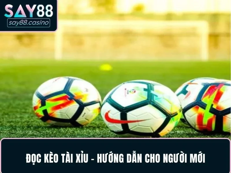 Đọc kèo tài xỉu - Hướng dẫn cho người mới