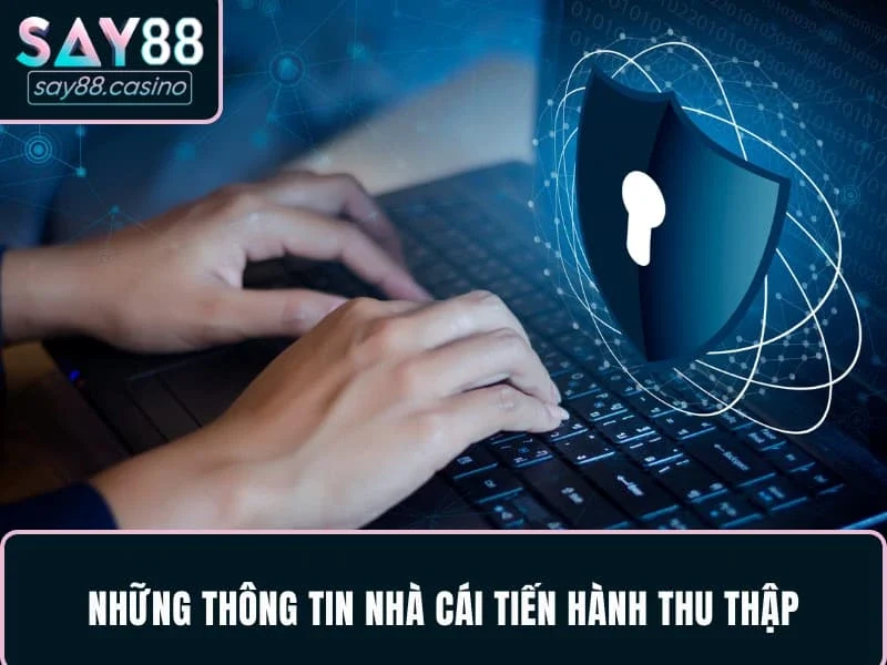 Những thông tin nhà cái tiến hành thu thập
